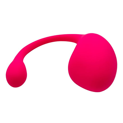 App kontrolleret klitoris og vibrator æg