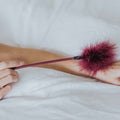 Feather