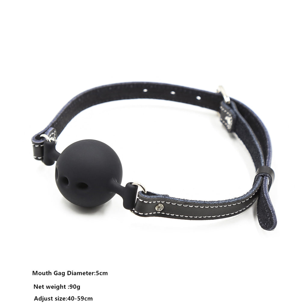 Ball gag master &amp; slave