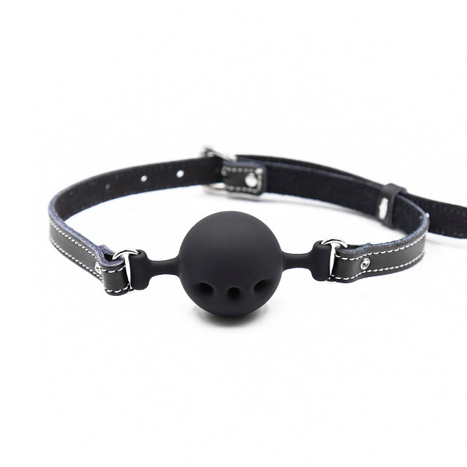Ball gag master &amp; slave