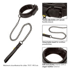 Calex collar og snor