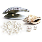 Bijoux Mimi nipplecovers pearldesign 2 stk 