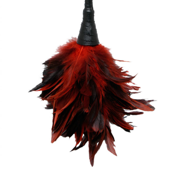 Fetish Fantasy frisky feather duster red