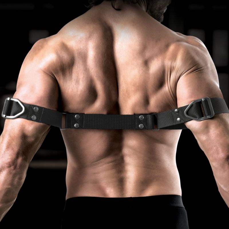 Sir Richards command biceps bender