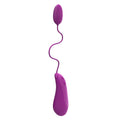 B swish bnaughty deluxe vibrating bullet raspberry