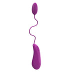 B swish bnaughty deluxe vibrating bullet raspberry